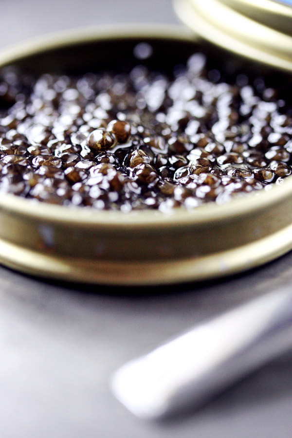 caviar